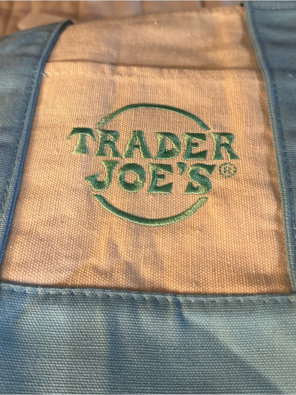 Trader Joe's Mini Pastel Canvas Tote in Teal and Natural